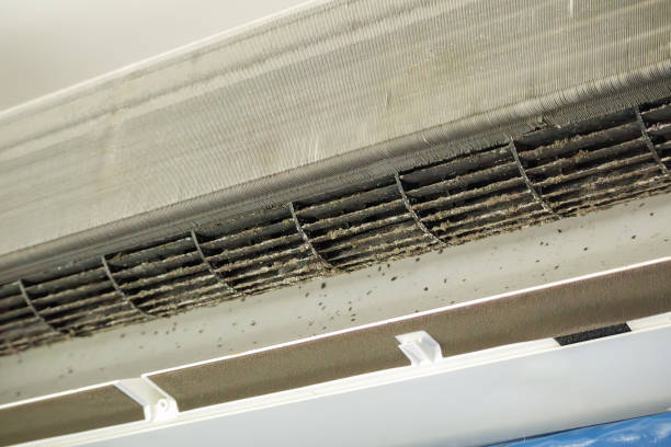 Best HVAC Duct Inspection Services  in Weweantic, MA